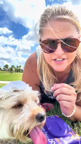 Took Sami to the dog park today 🐶… and who knows what she stepped in 😅 Thankfully, I always keep Hicc Pet Glove Wipes Pro on hand. They’re mess-free, coconut-scented, and make it super easy to wipe down her paws before heading back home. Perfect for dog moms and dads who want quick, gentle, and effective paw cleaning after walks, parks, or farmers markets! 🐾✨ #D#DogParkReadyC#CleanPawsD#DogMomLifePetCareEssentials