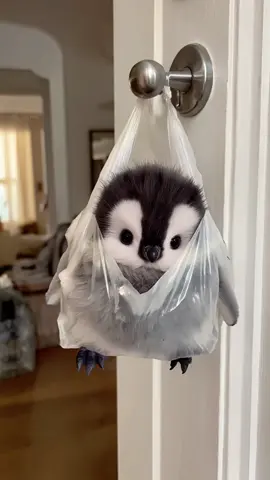 Comfort. #babyanimals #adorable #pet #penguin #creative 