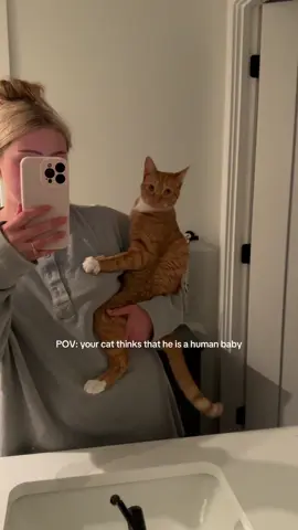 He’s just a baby 🥹 #orangecat #cat #kitten #cuteanimals #babyanimals 
