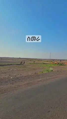 ሰመራ  #fyp #kiyanature #afartiktok🇩🇯🇪🇷🇪🇹 #afar #viral 