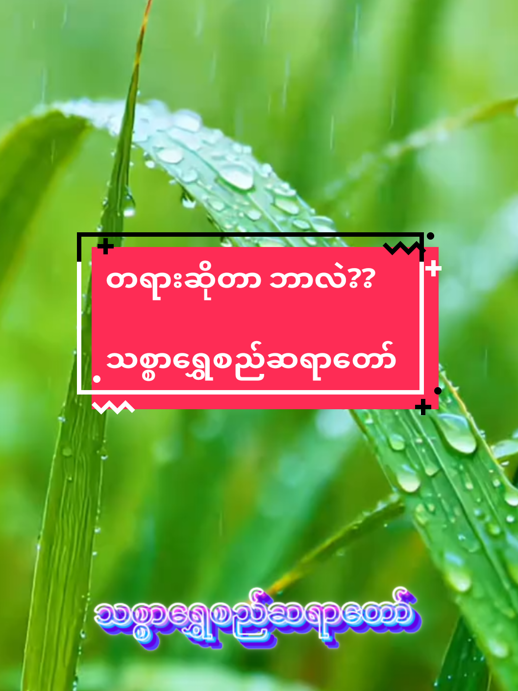 #တရားဆိုတာဘာလဲ#သစ္စာရွှေစည်ဆရာတော်အရှင်ဥတ္တမ၏တရားတော် #တရားအသိဖြင့်ဘ၀တွေအေးချမ်းကြပါစေ #buddha #fyp 