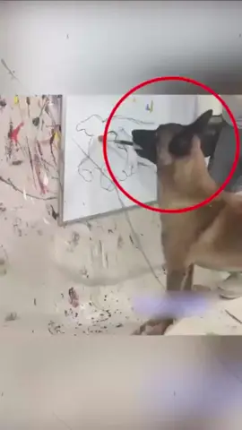 This dog loves to paint 🎨❤️ #fyp #dog #pets 