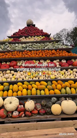 Was so excited for this point on my autumn bucket list!  Finally visited the Krewelshof🎃🍁🍂 #cozyseason #autumnaesthetic #pumpkinpatch #pumpkin #fallaesthetic 