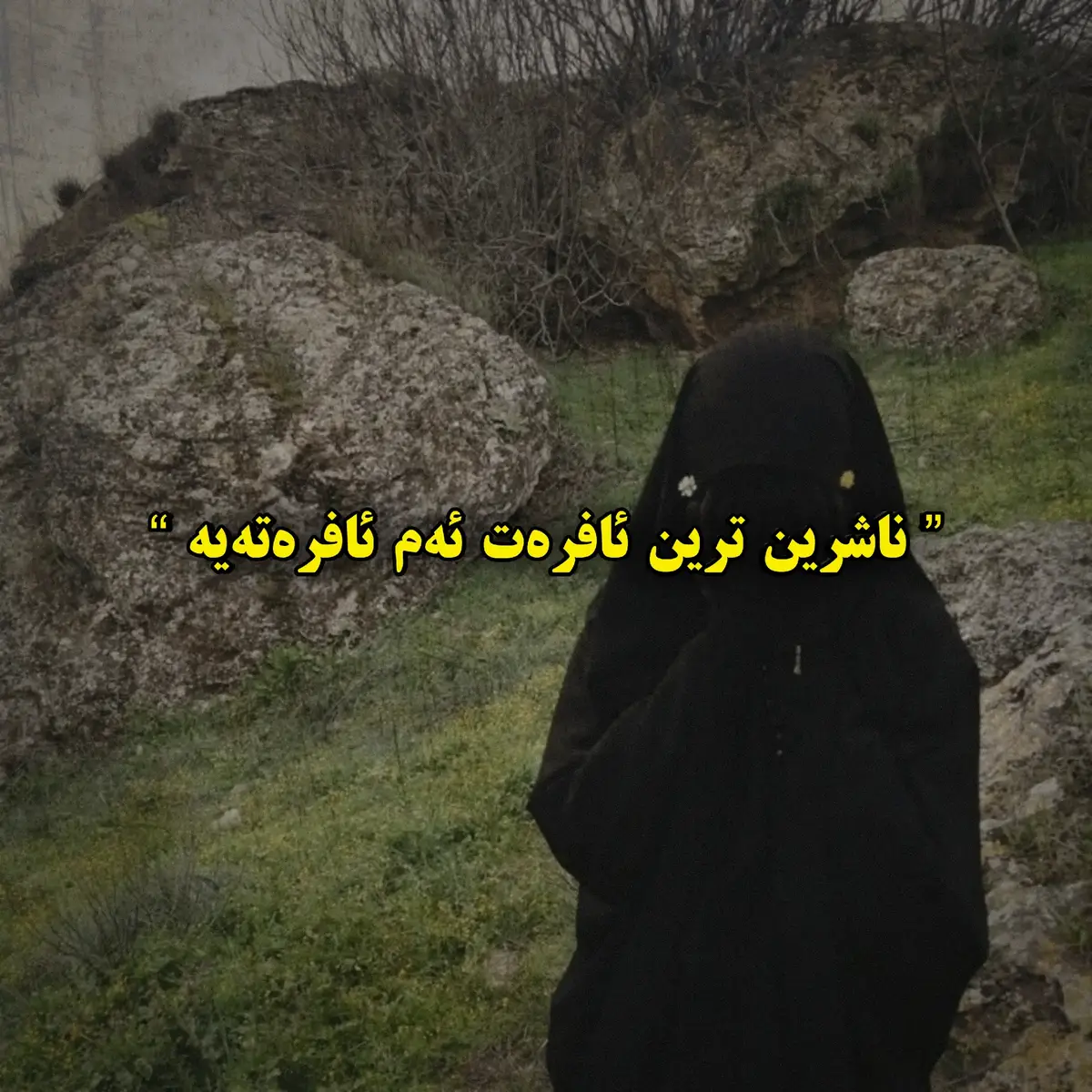عومەری کوڕی خەطاب دەفەرمووێت :  ناشرین ترین ئافرەت ئەو ئافرەتەیە کە زۆر بەهـێز و زاڵ بەسـەر پیاودا خۆی نیشـان ئەدات و هیچ شەرمێکی نیە بەرامبەری  مصنف ابن أبي شيبة