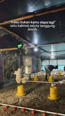Kalau semuanya mudah nanti kita lupa caranya bersyukur 😇 #fypage #trendingtiktok #broilerfarm #masyaallahtabarakkallah 