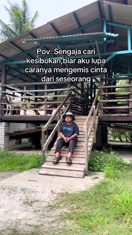 ☺️#29rabiulawal #rabiulawal #rabiulawal2025 #kambing #fypviral 
