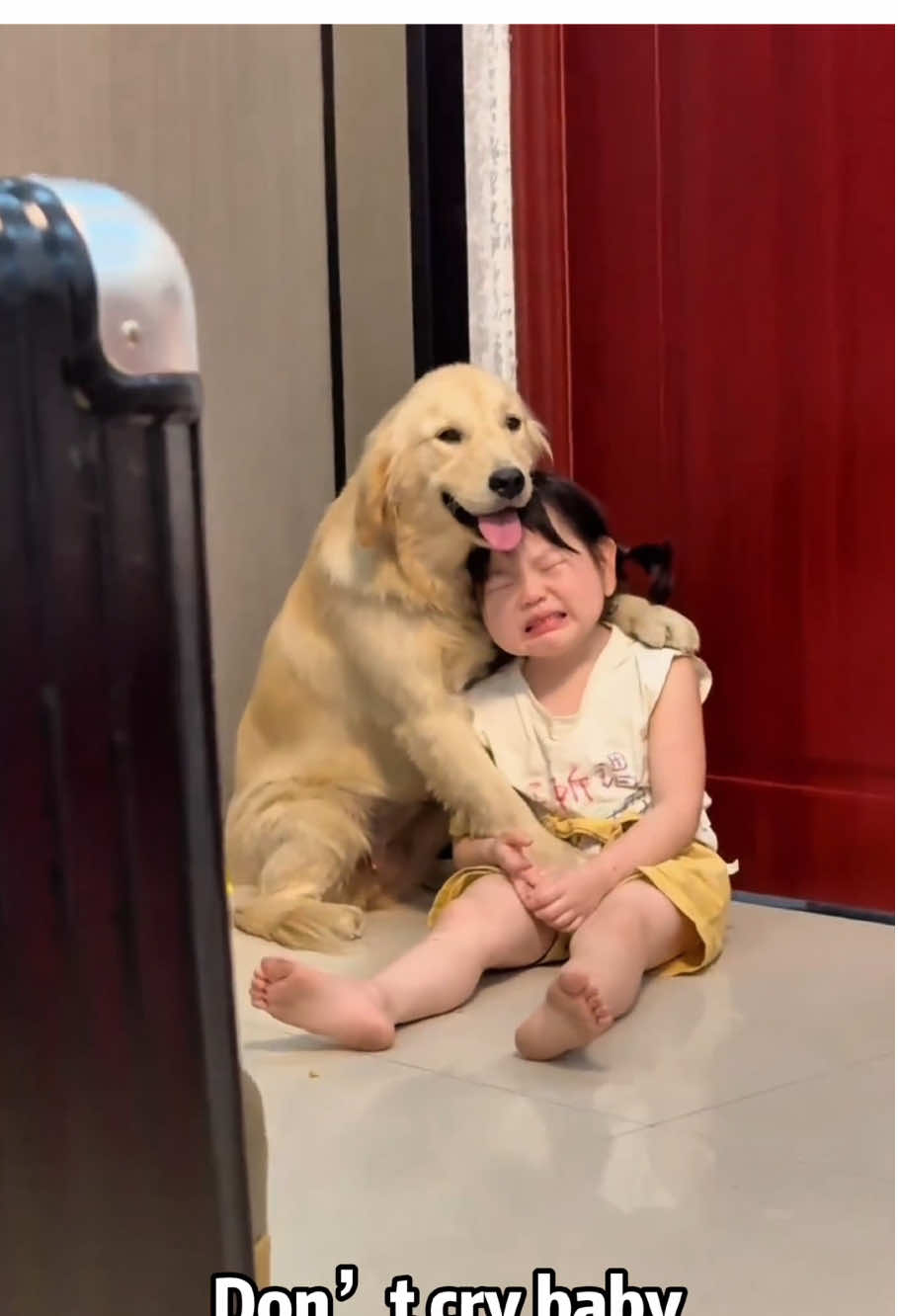 Every Kid Needs a dog 💕#dog #dogs #doglover #dogsoftiktok #Love #fyp #foryou #fypシ 