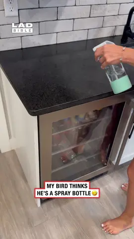 He's so good at it 🤣 (🎥: ViralHog)