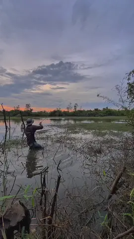 ปลาที่ไหนจะกล้ากัด😬#ทีมงานชะโดดับ #ทีมงานท้าต่อย442 #ตกปลาชะโด 