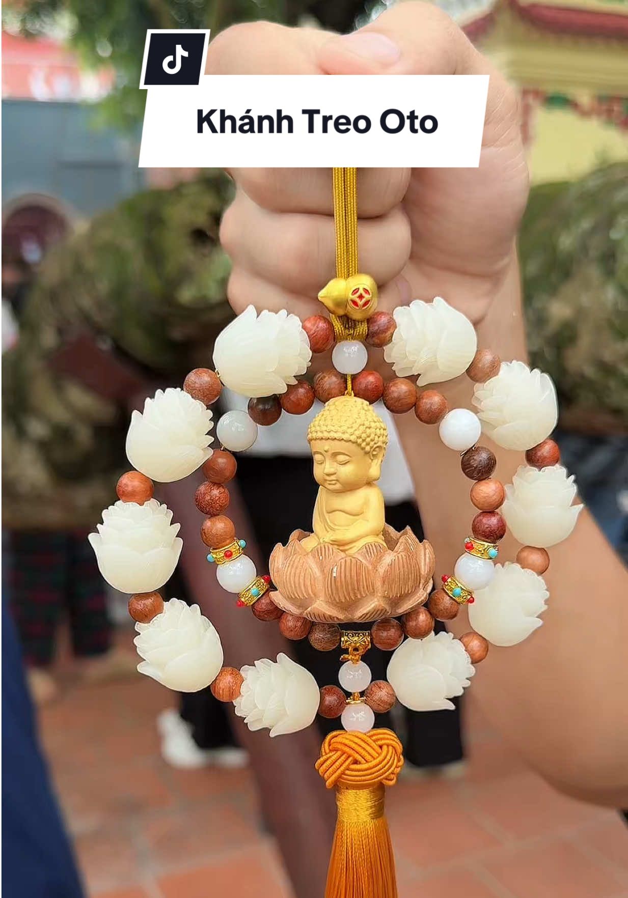 Khánh treo oto #haohomhinh #khanhtreooto 