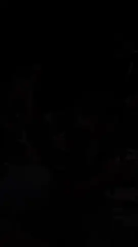 alhamdulillah 🤲 #trending #rbtjambi #grastrack_id #rbtsumut #imijambi 