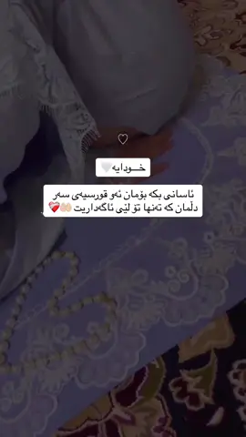 #الحمدلله_دائماً_وابداً #allah❤️ #cat 