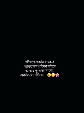 :জীবনে একটা বড়ো আফসোস থাইকা যাইবে আল্লাহ তুমি আমাকে একটা বোন দিলা না 🥹😔🌸#CapCut 