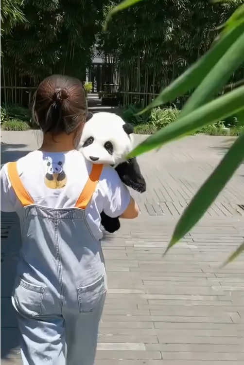 Cute panda 🐼#panda #pandasoftiktok #cuteanimals #fyp #usa 