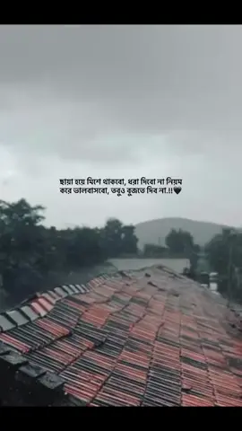 ছায়া হয়ে মিশে থাকবো, ধরা দিবো না নিয়ম করে ভালবাসবো, তবুও বুজতে দিব না.!!🖤 #foryou_ #foryoupage #trending_ #vairal_ #1million_tik_tok 