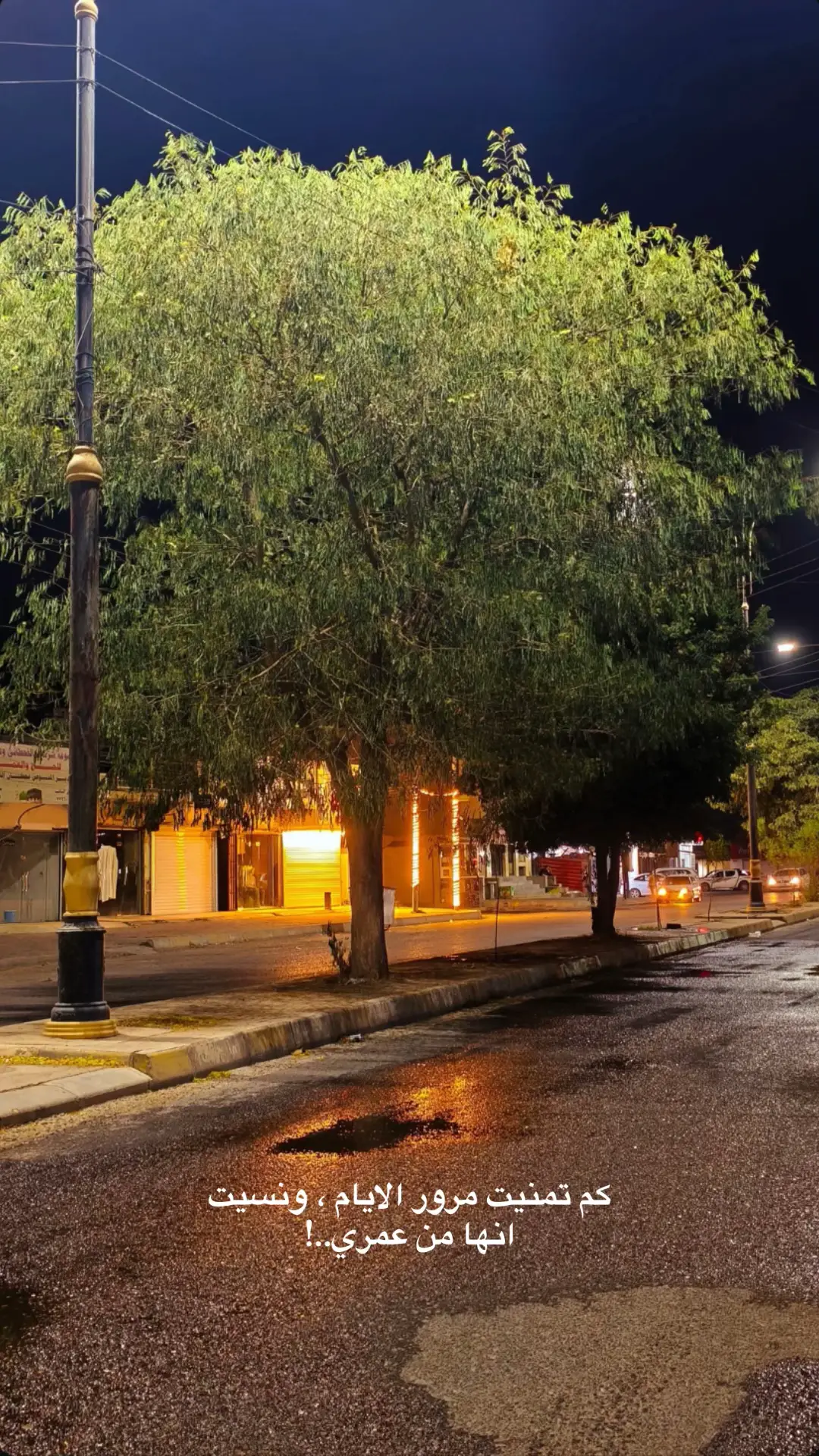 #قضاء_العلم #العلم #الابراهيم_الجبر #fyp 