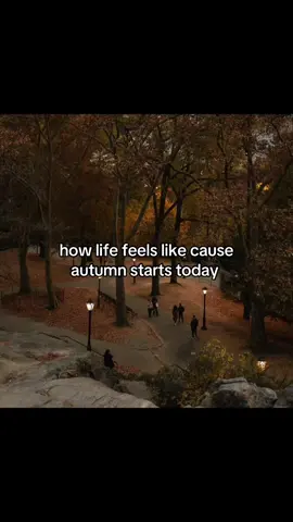i love autumn #insomniac #memoboy #autumn #asthetic #fyp 