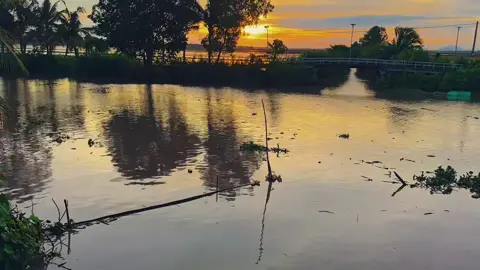 Thích lắm cái cảnh này📸🌅#quemientay #chill #videocanhdepchill #canhqueyen...