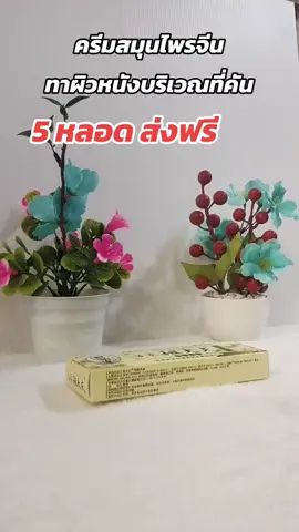 ครีมสมุนไพรจีนทาแก้คัน#สมุนไพรจีน #ครีมสมุนไพรจีน #ครีมสมุนไพรจีนแก้คัน #แก้คัน #ครีมแก้คัน