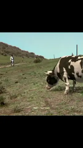 #شوف إبداع 🐄 #اكسبلورexplore 