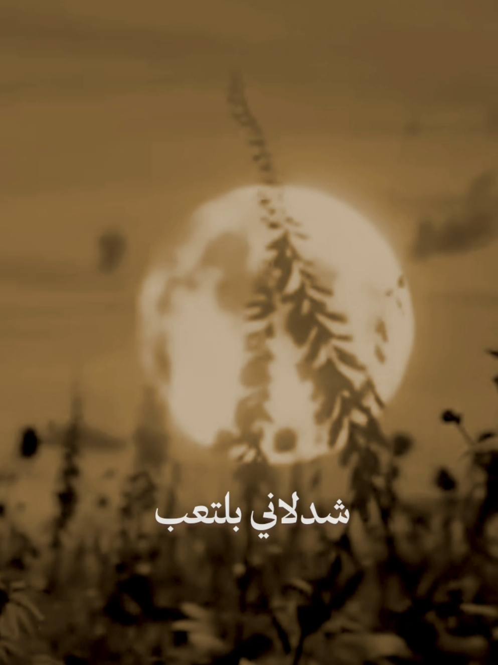 شدلاني بلتعب 💔.                                      #سيد_سلام_الحسيني  #سيد_سلام_الحسيني_شور_المقدس  #foryou #السلام_عليك_يااباعبد_الله_الحسين_عٍ 