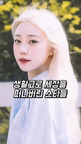 #연예인 #뉴스