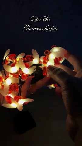 Solar Bee LED Christmas lights #solarbee #christmaslights #solarchristmaslights #xmaslights #ledchristmaslights 