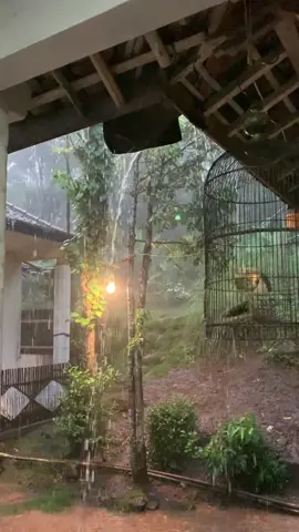 Adem dan tentram 🍃🫠 - - - #suasanasoreharididesa #soreharidikampung #murottalsore #sholawatjamandulu #vibeshujan #vibeshujansore #suasanadikampung #wisatamasalalu #rindumasalalu #nostalgia90an #nostalgia8090an 