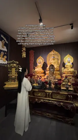 Nam Mô A Di Đà Phật🙏#reviewdodichua #loiphatday #dichuamacgi #xuhuớng #viral 