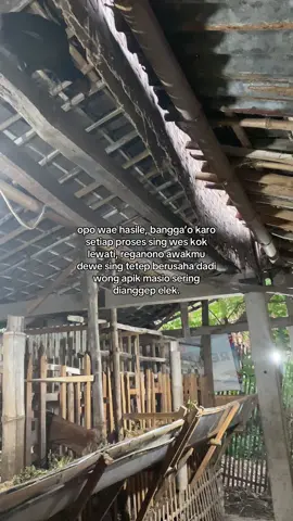 #pemulabarubelajar #peternakmuda #peternakmilenial #mburiomahofficial #fyp 