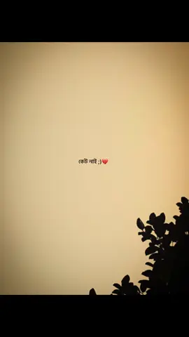 💔 #tiktok #🎀_r_a_k_i_b_🎀 #bdtiktokofficial #bdtiktokofficial🇧🇩 #foryou 
