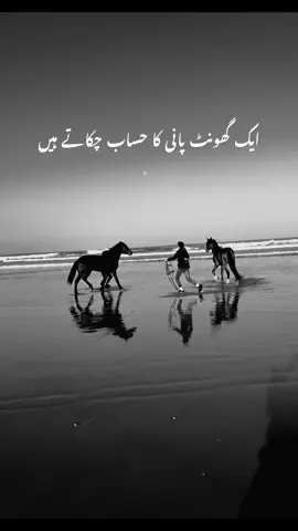 بد نسلیں خون کا حساب بھی بھول جاتے ہیں🔥 DEAR TIKTOK TEAM PLEASE DONT UNDER REVIEW MY VIDEO #oyeabdullah74 #foryou #tending 