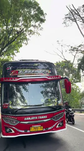 basuri apa nih hayoo😁 #foryoupage #busmaniacommunity #busbasuri #albino #basuri24not 