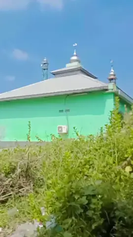 #bahkan untuk merasakan cinta sajah, laki-laki harus punya uang banyak#fypppppppppppppppppppppppviral 