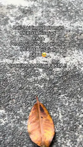 Tidak semua seperti itu🙏🏻🙏🏻
