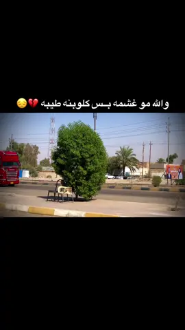 والله مو غشمه بس گلوبنه طيبه 💔😔#لايك #للفيديو 