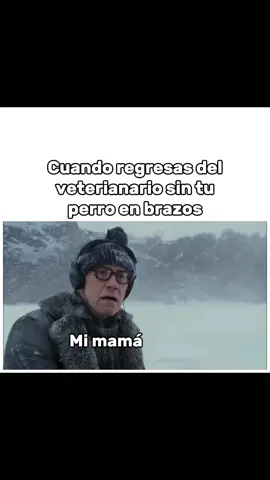 #CapCut, cuando regresas del veterinario sin tu perro en brazos, #parati #viral #peliculas 