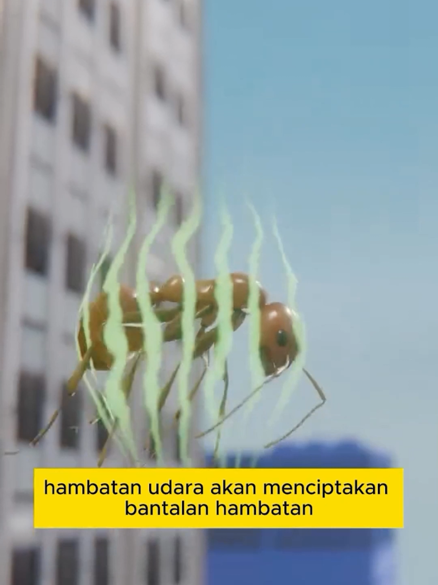 kisah seekor semut #SateAyam ##kulinersurabaya #KulinerNusantara #SateAyamMalabar #SateRempah 