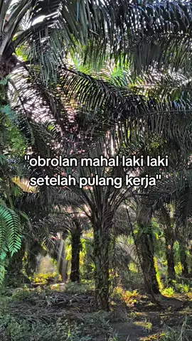 #sahabat #fyp #4u #masukberanda #pruningsawit 