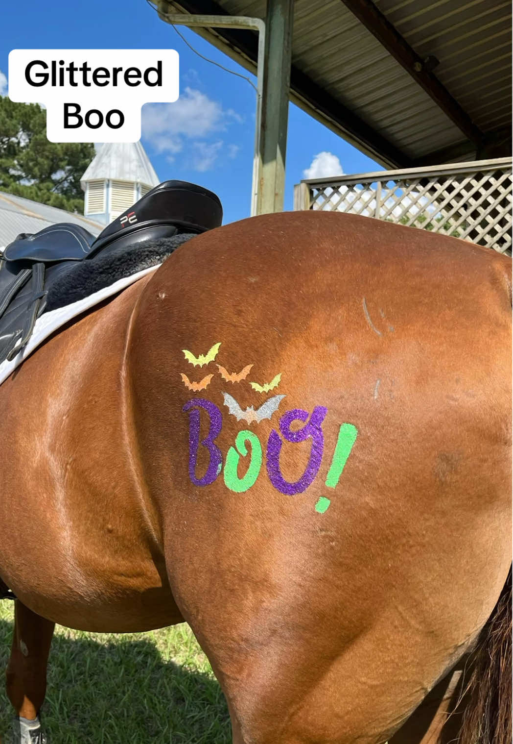 Spooky season is here 👻✨ Come see how to glitter our ‘BOO’ Glittermarx! #Glittermarx #SpookySeason #boo @Sophie & Penny #horse #horsegirl 