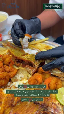 اليوم الوطني السعودي 95  #عروض_اليوم_الوطني95 #عروض_اليوم_الوطني #عروض_مكة #العوالي #الشرائع