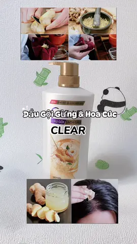 Thay vì ngồi giã gừng thì tui chọm dầu gội Gừng Hoa Cúc Clear. Tóc sạch gàu, khoẻ và bồng bềnh hơn  #Clear #chamsoctoc#chamsaccungunilever #daugoi #huyet0409
