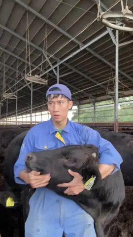 Zợ m tới kìa rắc rắc rắc… #toidayne97 #spacoccoc #xuhuong 