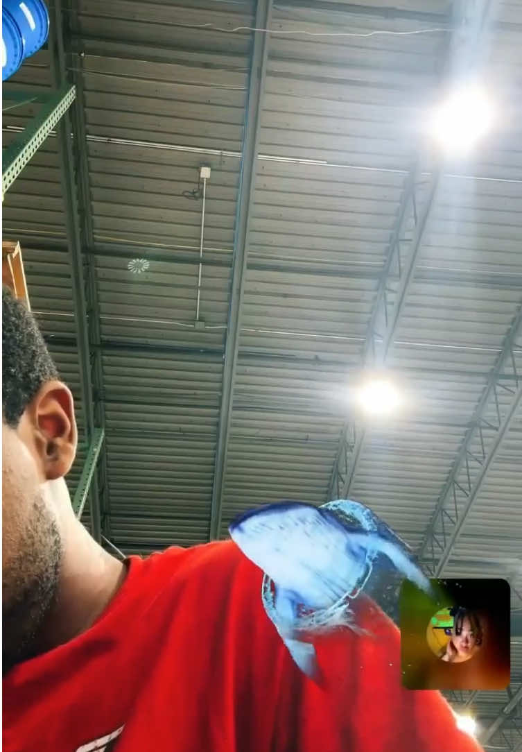 Thank you for those wonderful Gifts sent in my Gift Gallery!@Dutchess 🫆💙 #livegift #giftgallery #LIVEIncentiveProgram #LIVEStory #PaidPartnership 