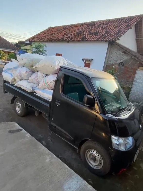 pokok tampil🤲#driver #granmaxpickup #lomboktiktok #sayuran #lumajangtiktok 