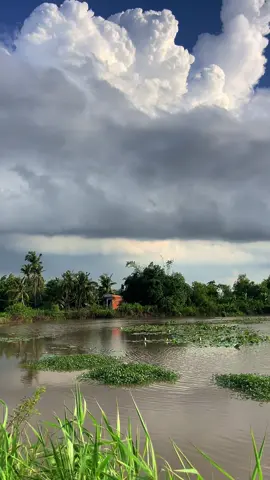 Người nói yêu nhưng vẫn bỏ…người nói bỏ nhưng chẳng quên…#buontamtrang 