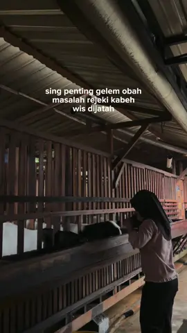 Ojok lali selalu ucap alhamdulillah #peternakkambing #fyp #kambingetawa #dombatexel #kambingetawakaligesing 
