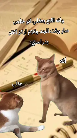 عقلي ماجاي يقتنع بعده على العطله 🤷🏻 َ #خامس_علمي #قالب_كاب_كات  #قالب_جاهز_نار🔥 #اغاني #اغاني_ترند  