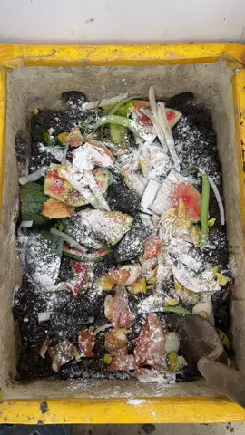 Từ ngày trồng rau, mình không còn vứt rác bếp nữa – mà biến nó thành phân hữu cơ siêu giàu dinh dưỡng. 🍅🥒 Tiết kiệm chi phí, an toàn cho sức khỏe – trồng rau sạch hơn #xuhuong #greencountryside #trongcay #healthy #homemade 