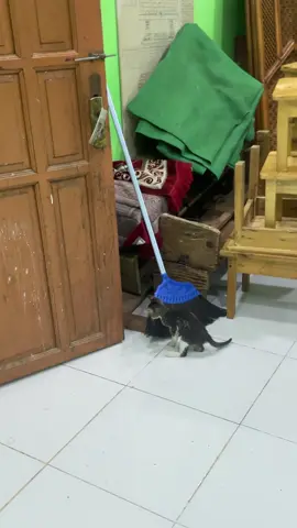 versi led old nyah kk#fypシ゚viral #ring17style #vario125old #ledold 